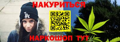 крисы Кунгур