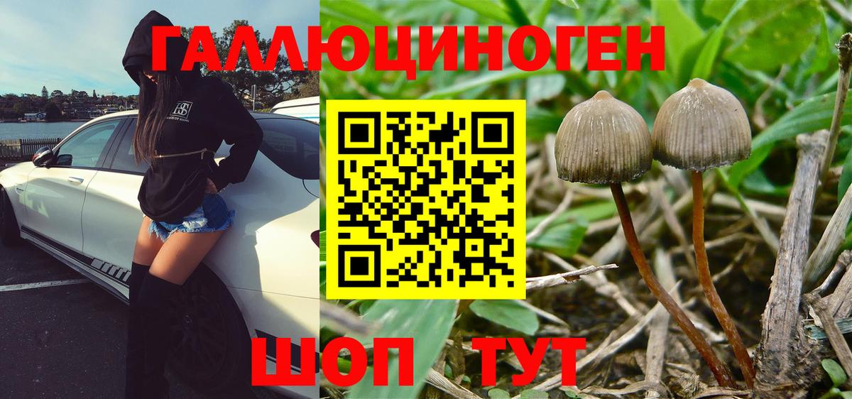 Галлюциногенные грибы MAGIC MUSHROOMS  Галлюциногенные грибы Cubensis  Ирбит  Вход с VPN 
