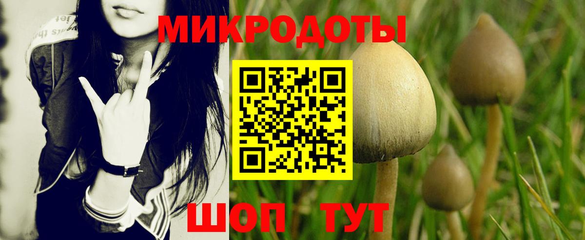 Псилоцибиновые грибы прущие грибы Ирбит